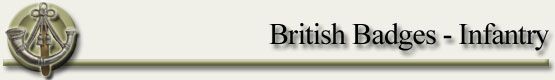  britishbadges_infantry